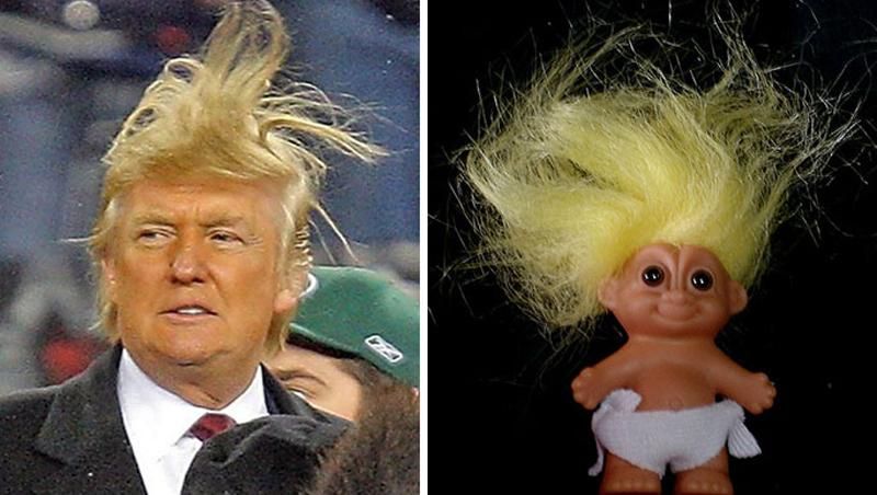 Забавные животные и вещи, которые похожи на Дональда Трампа Забавные животные и вещи, которые похожи на Дональда Трампа