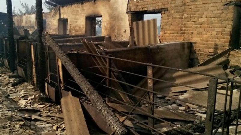 Понад 100 свиней згоріло під час пожежі на Кіровоградщині