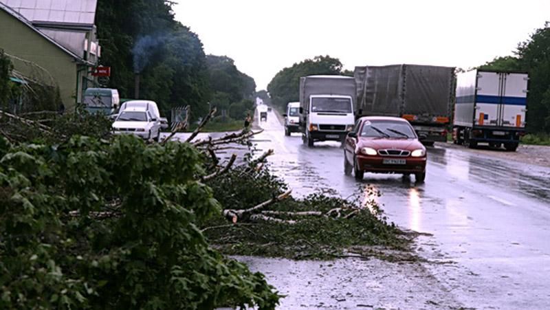 Буревій пронісся Закарпаттям: загинув підліток Буревій пронісся Закарпаттям: загинув підліток