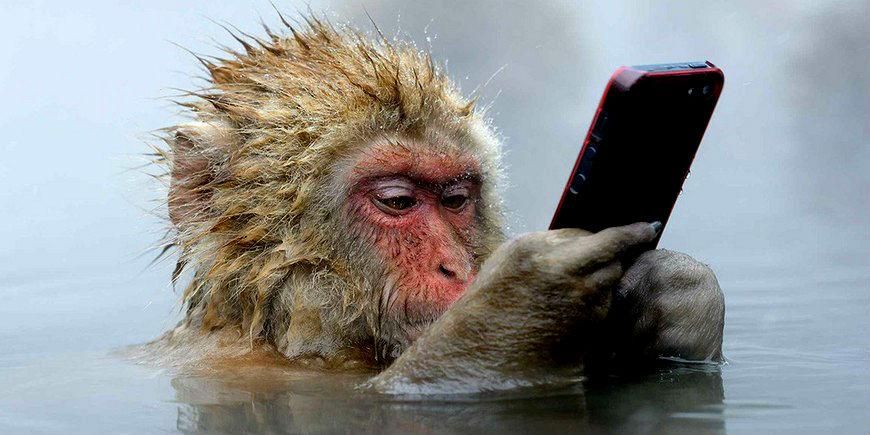 Жириновский предлагает россиянам отказаться от "cелфи" Жириновский предлагает россиянам отказаться от "cелфи"