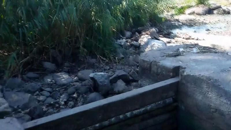 Екологічна катастрофа на Київщині: раптово пересохла річка
