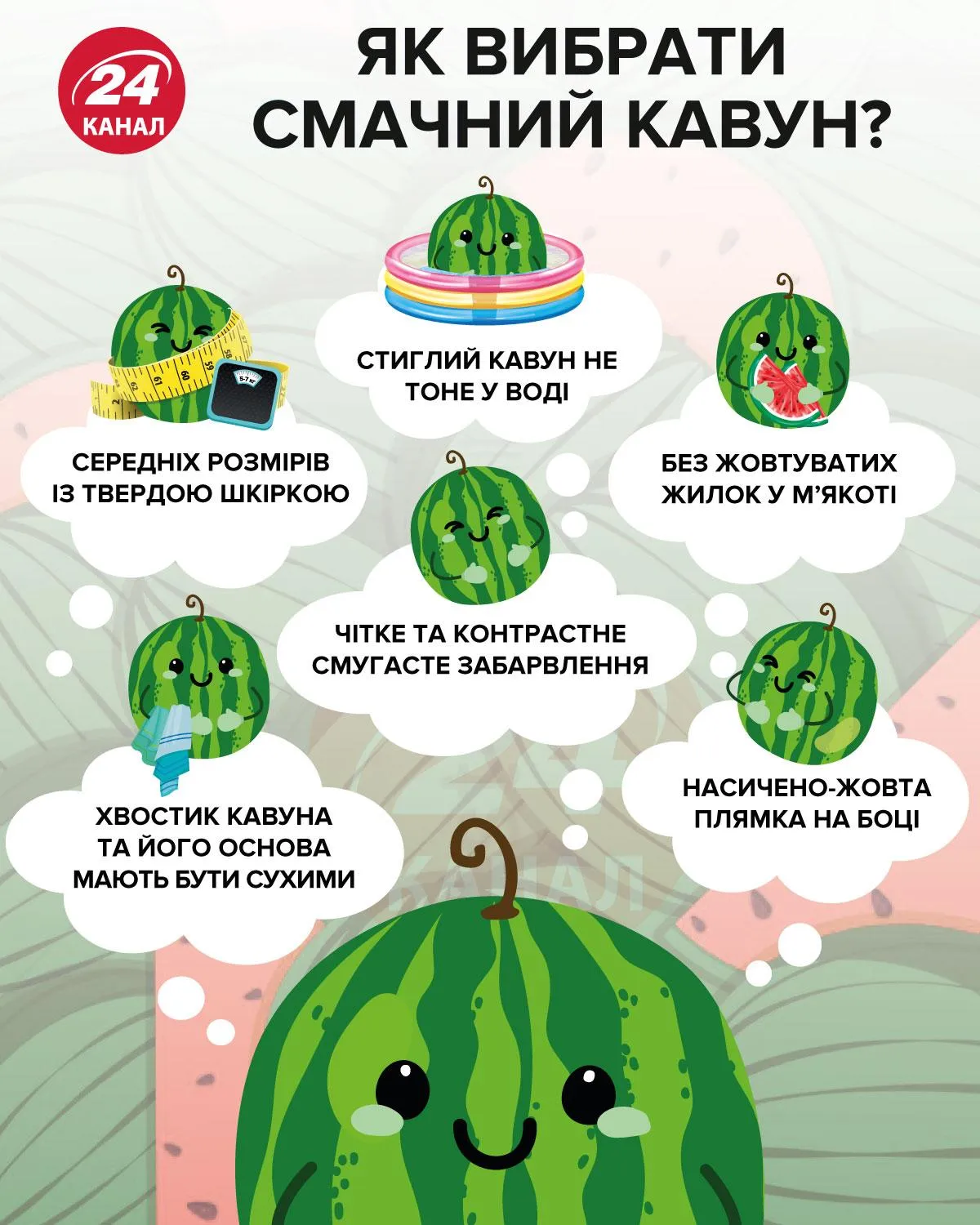 как выбрать вкусный арбуз инфографика 24 канала