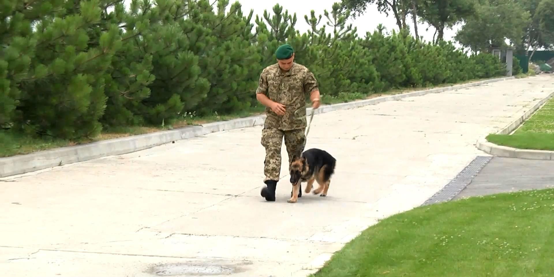 Чотирилапі захисники України відправляються в зону АТО Чотирилапі захисники України відправляються в зону АТО