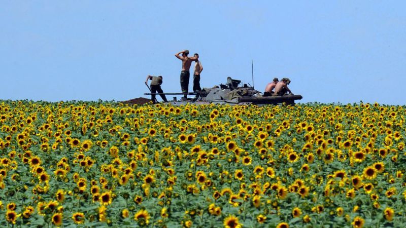 Опрос: Нужна ли Украине контрактная армия?