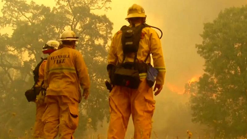 В Калифорнии объявлено чрезвычайное положение
