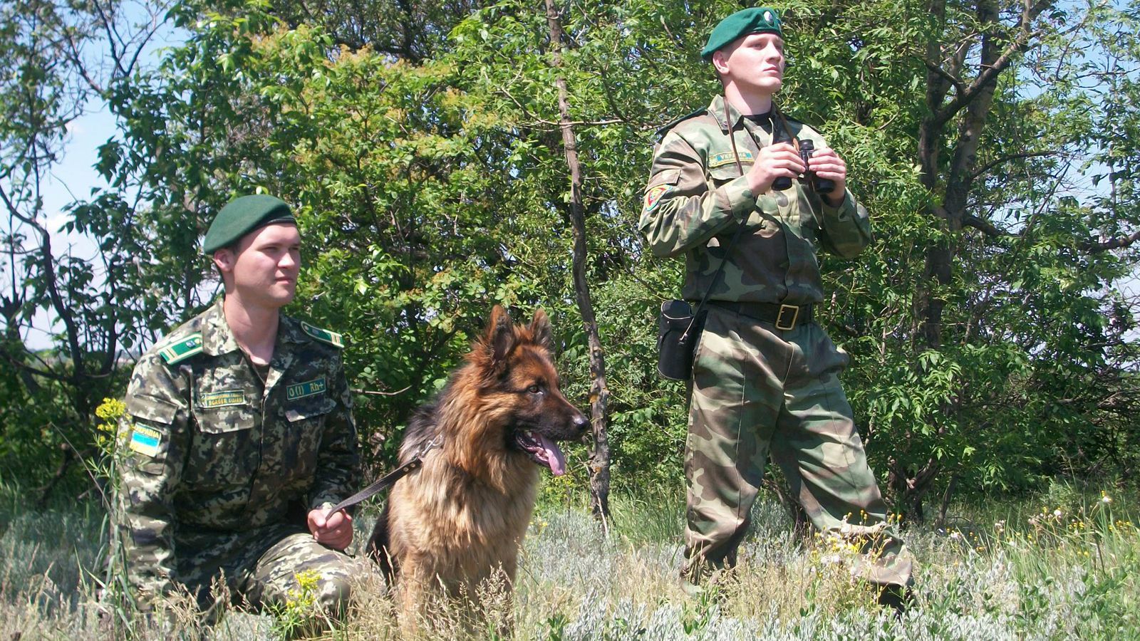 У Москаля контрабандисти побили прикордонника У Москаля контрабандисти побили прикордонника