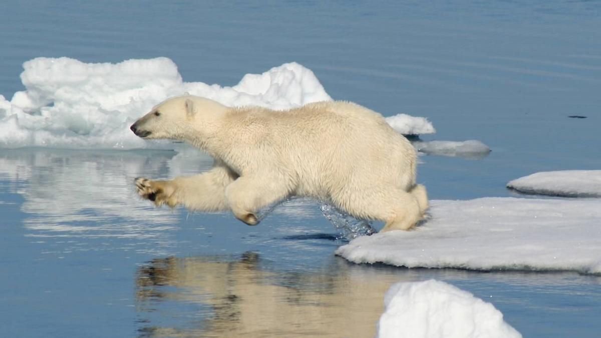 России мало земли — хочет еще и дно океана России мало земли — хочет еще и дно океана