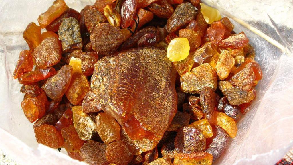 Вилучена рекордна партія бурштину — власність держкомпанії, — "Укрбурштин" Вилучена рекордна партія бурштину — власність держкомпанії, — "Укрбурштин"