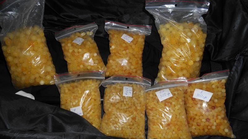 Опрос: Чем закончится борьба правоохранителей с "янтарной мафией"? Опрос: Чем закончится борьба правоохранителей с "янтарной мафией"?