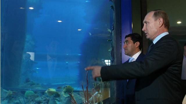 Путін не суперстратег, а дрібний тактик із манією величі, — політолог Путін не суперстратег, а дрібний тактик із манією величі, — політолог