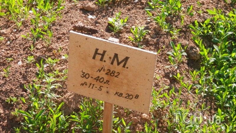 З'явилися фото таємничого цвинтаря у Ростові З'явилися фото таємничого цвинтаря у Ростові