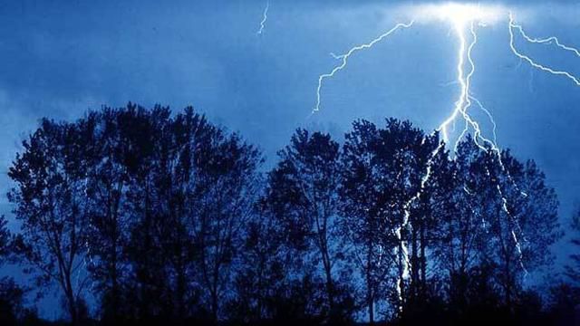 Смертельная стихия на Прикарпатье: молния унесла жизни двух человек Смертельная стихия на Прикарпатье: молния унесла жизни двух человек