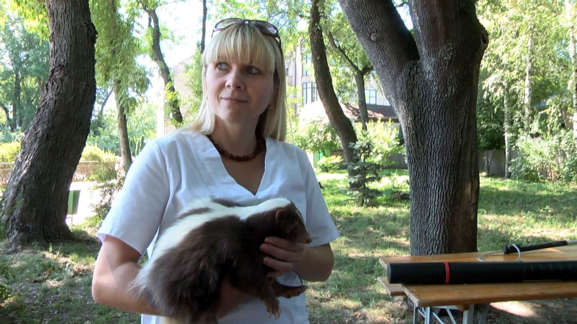 Диких животных выпустили из клеток в киевском зоопарке Диких животных выпустили из клеток в киевском зоопарке