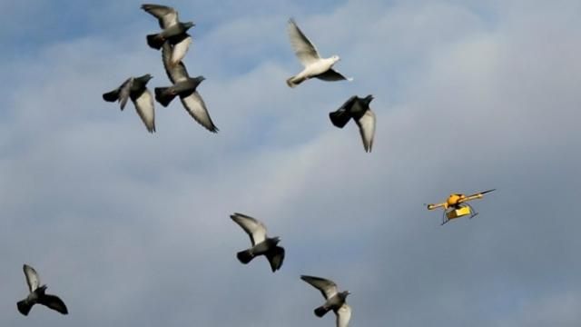 Неспокійна доба в зоні АТО: терористи активізували безпілотники Неспокійна доба в зоні АТО: терористи активізували безпілотники