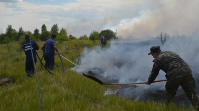 Біля Чорнобиля знову горить Біля Чорнобиля знову горить