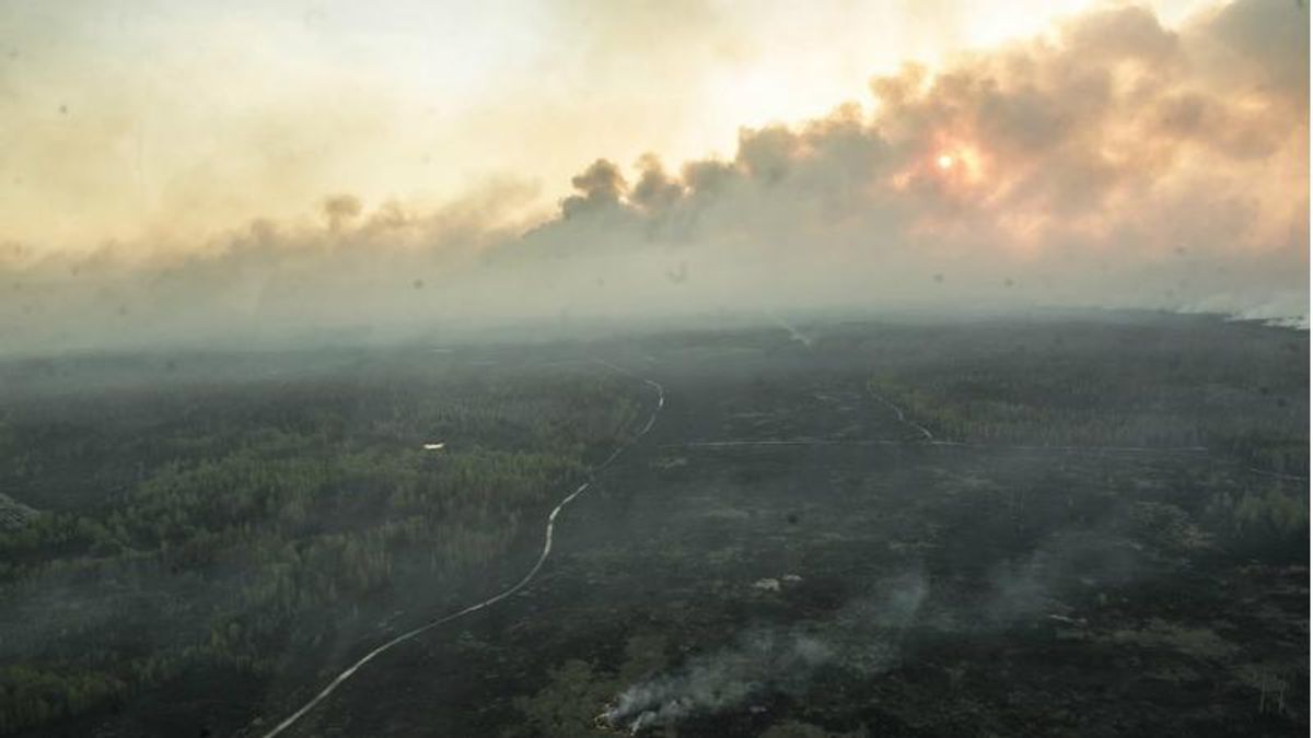 Непоборний вогонь: у Чорнобильській зоні спалахнула нова пожежа Непоборний вогонь: у Чорнобильській зоні спалахнула нова пожежа