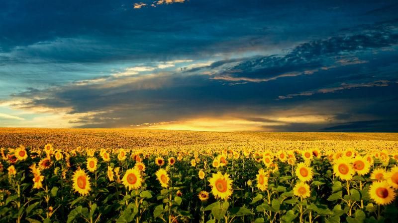 Фантастичні факти про Україну: в чому українці перші у світі Фантастичні факти про Україну: в чому українці перші у світі