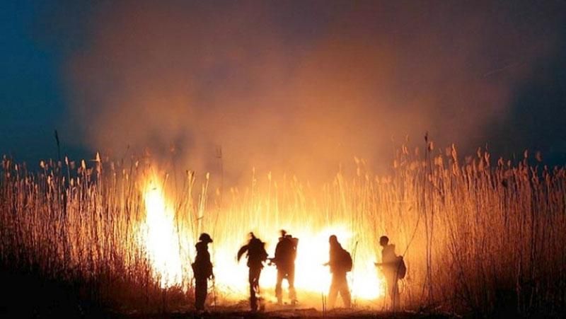 Росія у вогні: палає 30 тисяч гектарів унікального лісу Росія у вогні: палає 30 тисяч гектарів унікального лісу