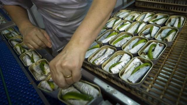 Польша в очередной раз стала "жертвой" российских запретов Польша в очередной раз стала "жертвой" российских запретов