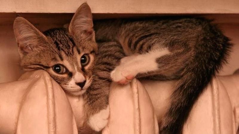 Этой зимой в квартирах будет еще холоднее Этой зимой в квартирах будет еще холоднее