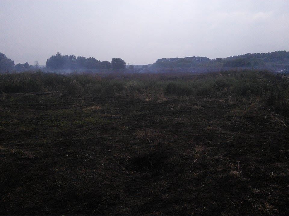 На Київщині вже тиждень палають торфовища