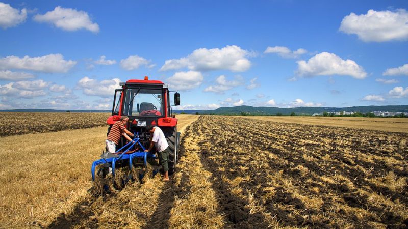 Нових менеджерів в аграрному секторі чекають психологічні тести та публічні співбесіди Нових менеджерів в аграрному секторі чекають психологічні тести та публічні співбесіди
