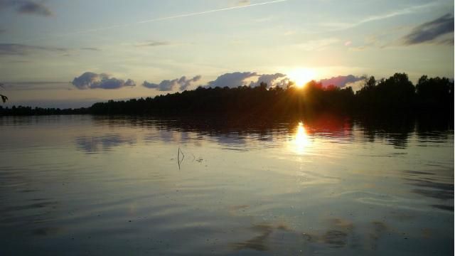 Води у Десні рекордно мало: екологи б’ють на сполох Води у Десні рекордно мало: екологи б’ють на сполох