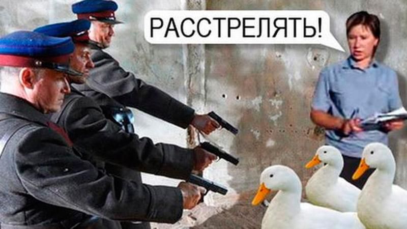 "Винищувачку" гусей в Росії покарали