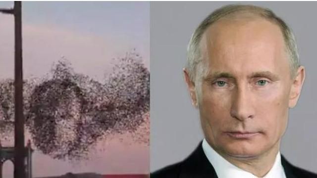 Російські ЗМІ розгледіли Путіна у зграї птахів 