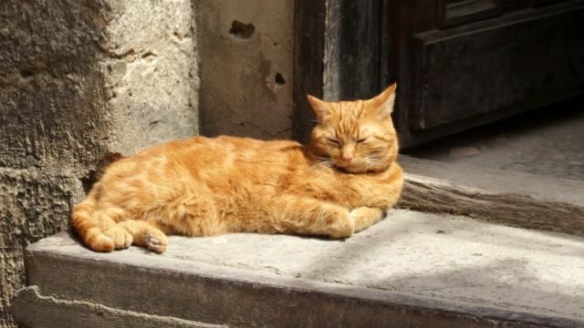 Украинцы почувствуют прохладу уже со следующей недели Украинцы почувствуют прохладу уже со следующей недели