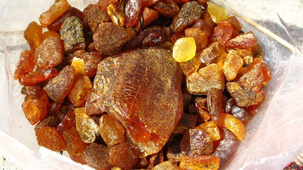 Служба безопасности нашла подпольный цех с янтарем и китайцами-нелегалами Служба безопасности нашла подпольный цех с янтарем и китайцами-нелегалами