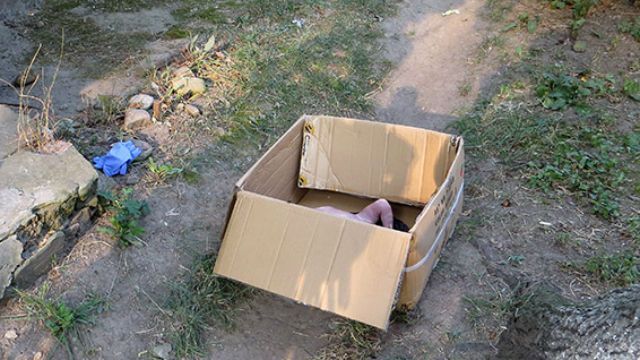 Багатодітна мати викинула у підвал свою новонароджену дитину Багатодітна мати викинула у підвал свою новонароджену дитину