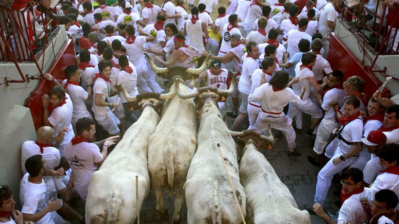 Быки убили рекордное количество людей в Испании за два месяца