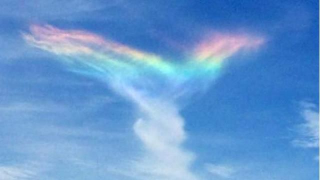 Уникальное природное явление поразило сеть Уникальное природное явление поразило сеть