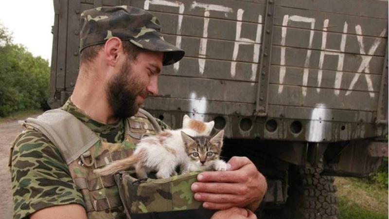 Военные и коты: трогательные кадры с войны