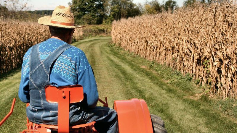 Появятся ли в Украине настоящие фермеры Появятся ли в Украине настоящие фермеры