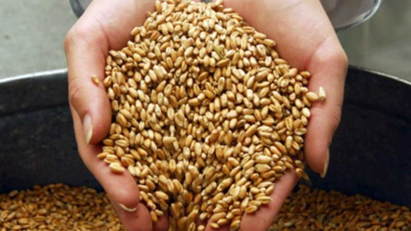 Яценюк рассказал о торговых отношениях с Россией Яценюк рассказал о торговых отношениях с Россией