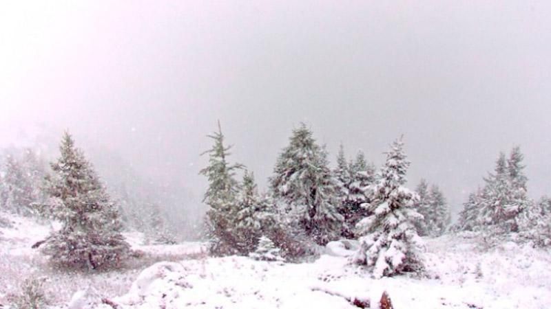 Снег посреди лета: Канаду накрыла странная погода Снег посреди лета: Канаду накрыла странная погода