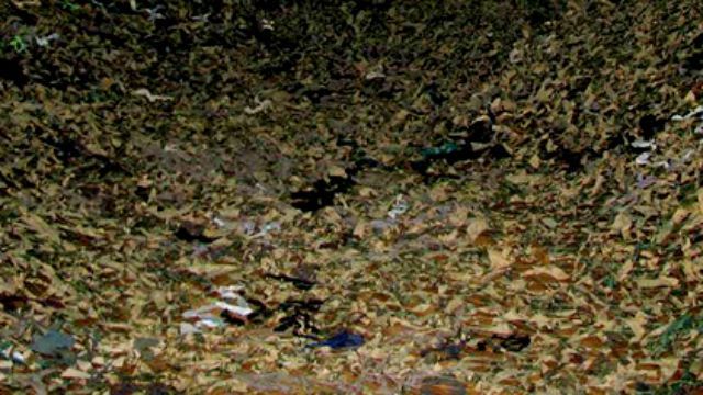 Українські волонтери встановили рекорд Українські волонтери встановили рекорд