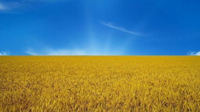 Яценюк и Гройсман поздравили украинцев с Днем Флага Яценюк и Гройсман поздравили украинцев с Днем Флага