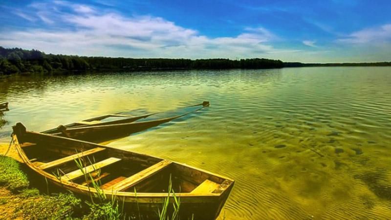 Украинский флаг в природе: лучшие фото