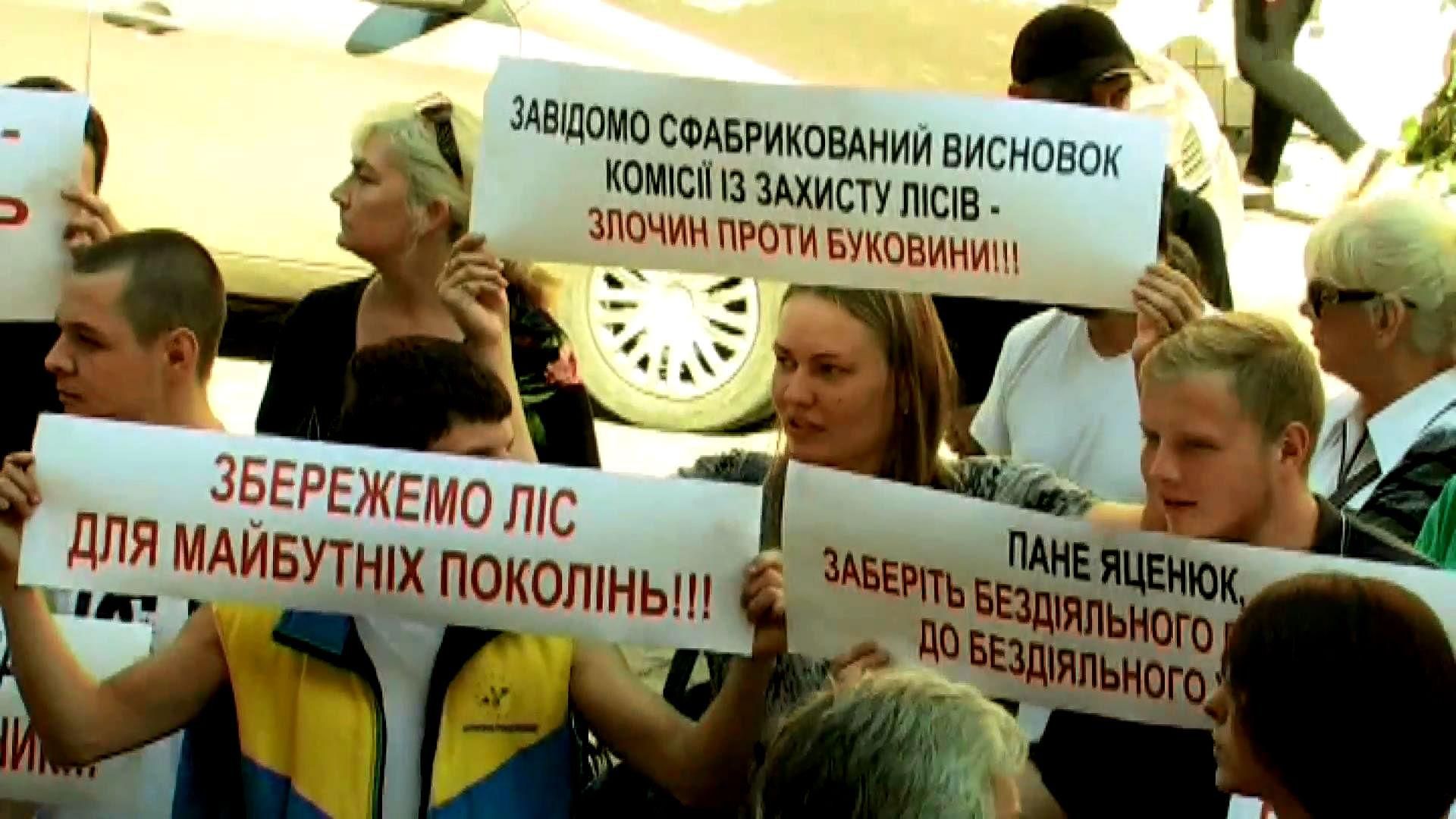 Люди против вырубки лесов — протесты в Черновцах