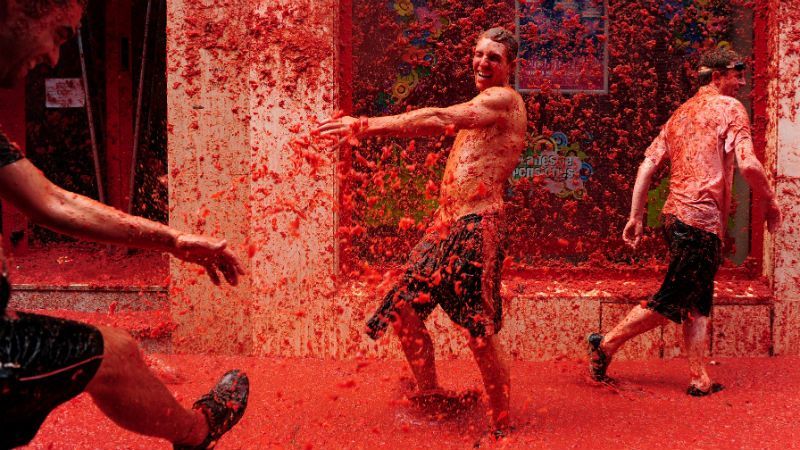 "Томатіна": тут можна кидатися помідорами і не отримати "на горіхи" "Томатіна": тут можна кидатися помідорами і не отримати "на горіхи"