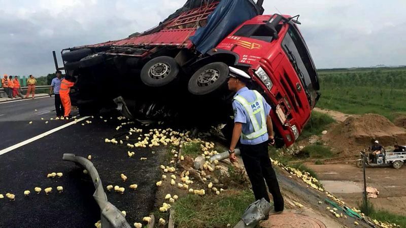Куряча ДТП сталась у Китаї Куряча ДТП сталась у Китаї