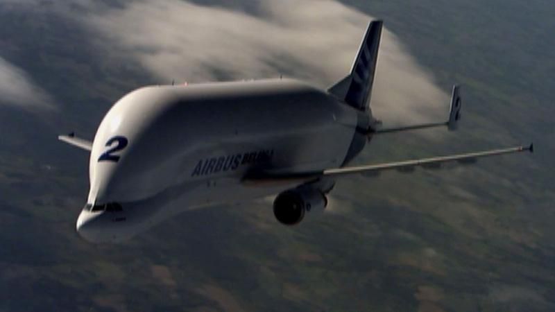 Білуга — літаючий "кит" з гігантським "шлунком" Білуга — літаючий "кит" з гігантським "шлунком"