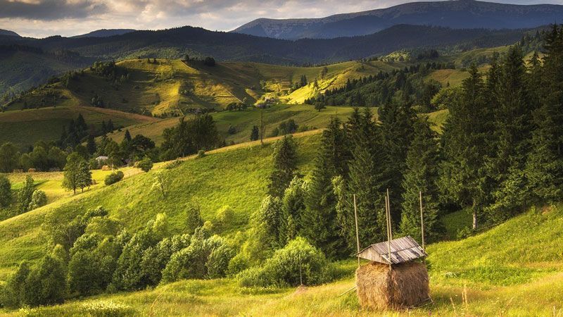 З'явилась можливість піднятись на найвищі вершини Карпат, не відходячи від монітора З'явилась можливість піднятись на найвищі вершини Карпат, не відходячи від монітора