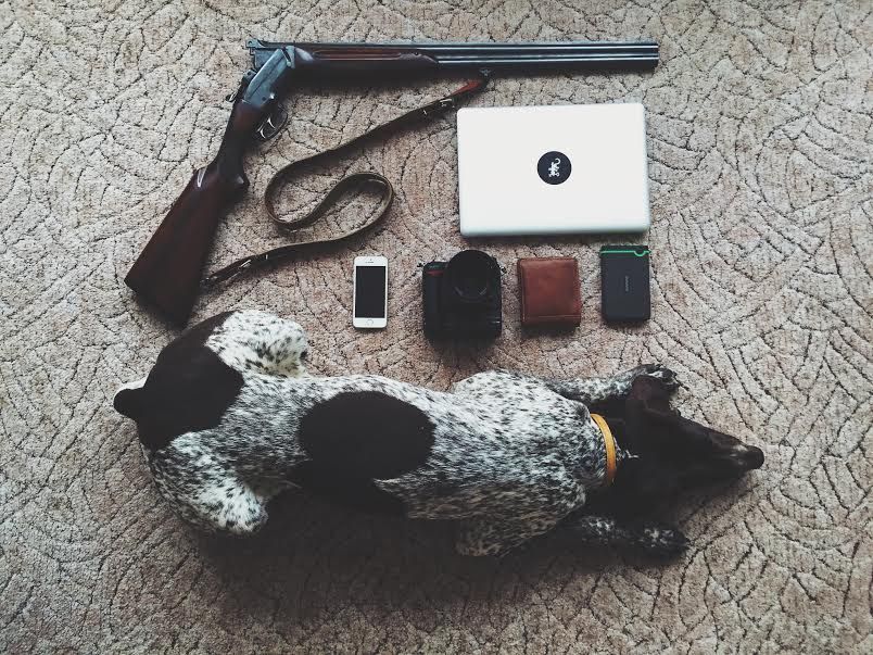 Что люди спасают при пожаре: ружье, игрушка, скейт и собака Что люди спасают при пожаре: ружье, игрушка, скейт и собака