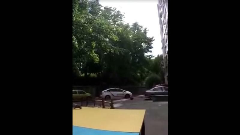 Киевские патрульные совершили забавную аварию