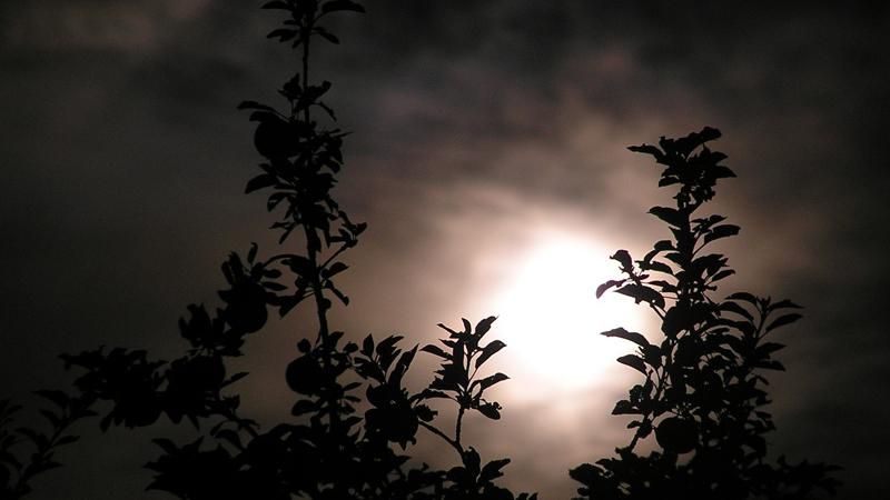 Київ пережив найспекотнішу ніч за сотню років Київ пережив найспекотнішу ніч за сотню років