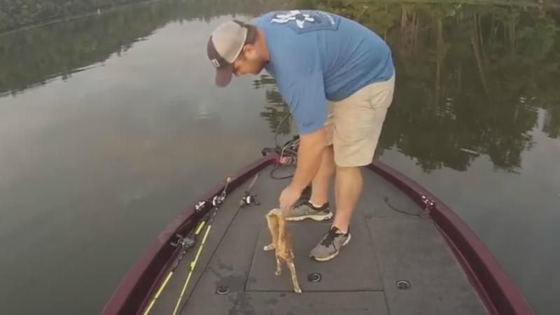 Сеть растрогал рыбак, который спас из воды котят Сеть растрогал рыбак, который спас из воды котят